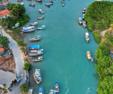 Maxaranguape Apartment | Mangue em flor