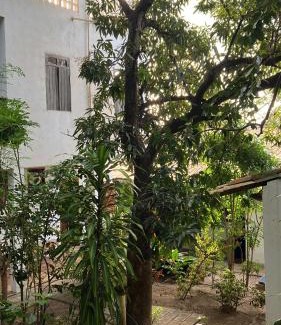 Mangue Seco House | Mangue Seco Lodge - Experiência Gastronômica