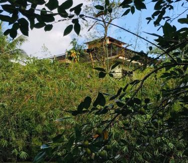 Matugama Hotel | Manikgoda Tea Paradise New