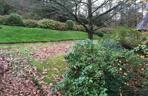Miskin House | Manor Lodge 10 mins from Cardiff City (sleeps 6-8)