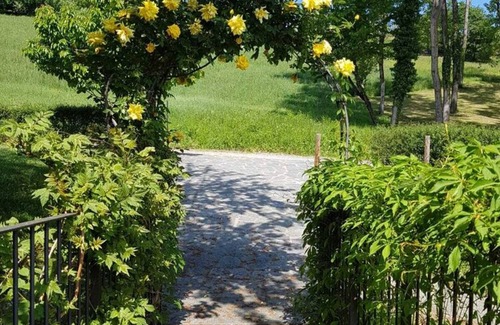 Ciglie Apartment | Mansion in Langhe Hills With Pool