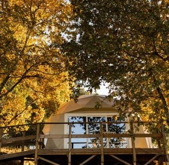 Carregal do Sal Other | Manteiros Glamping