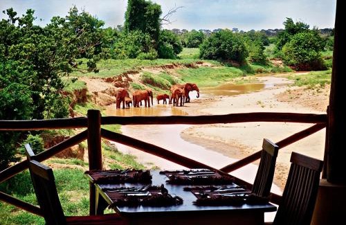 Voi Other | Manyatta Camp