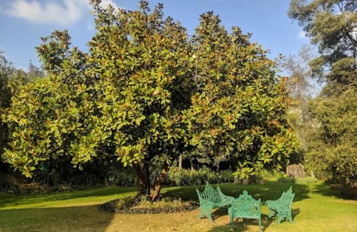 Ooty Villa | Maplewood Cottage, Ooty by Ebony Stays | Luxury 6BHK with Lawn & Mountain Views
