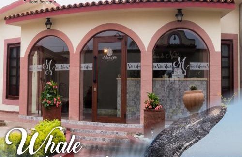 Ciudad Constitucion Hotel | María de Nadie "Hotel Boutique"