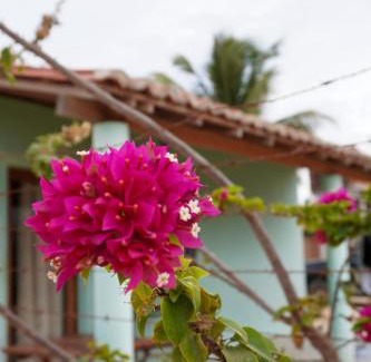 Barroquinha Cabin | Mar Aberto chale 3
