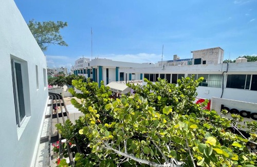 Centro - Supmza 001 Apartment | Mar Azul - Isla Mujeres