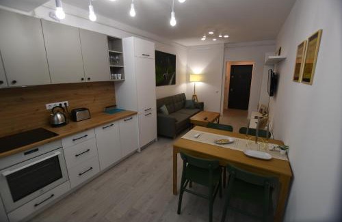 Baia Mare Apartment | MARA COZY APARTMENT