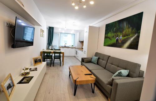 Baia Mare Apartment | MARA COZY APARTMENT