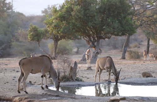 Maralal House | Maralal Safari Lodge