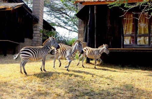 Maralal House | Maralal Safari Lodge