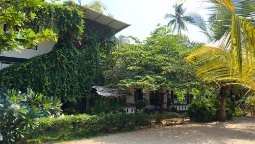 Mararikulam House | Marari Blue Waves