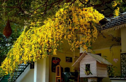 Mararikulam House | Marari Blue Waves