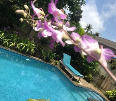 Mararikulam House | Marari Dreamz Homestay