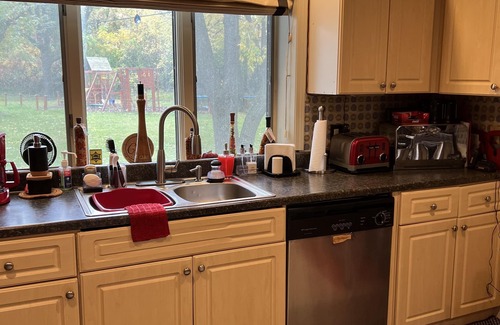 Southfield House | Marcia’s Woodsy Wonderland Suite in Detroit Suburb
