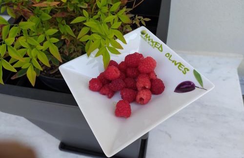 Pogradec Bed & Breakfast | Marena B&B