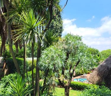 Greater Johannesburg Metropolitan Area House | Margaret's Place