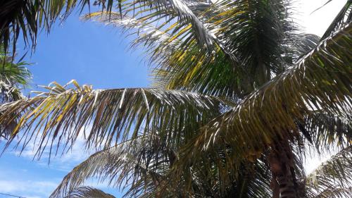 Mahahual Hotel | Margarita del Sol Hotel Costa Maya