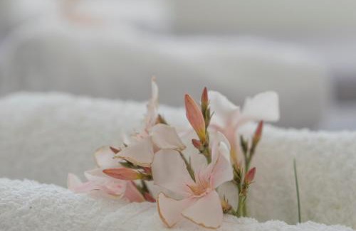 Perivolos Apartment | Margarita