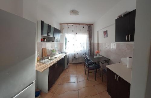 Focsani Apartment | Mari