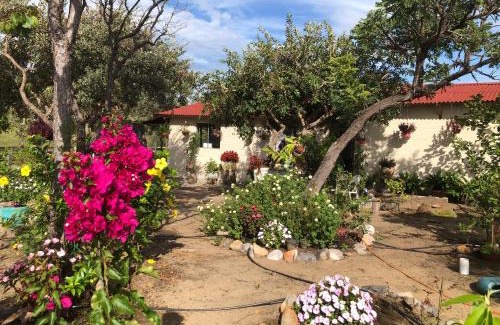 Conselheiro Mata House | Maria Bonita Eco Pousada