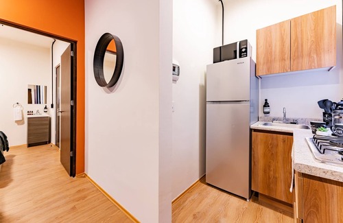 Miguel Hidalgo Apartment | Mariano Escobedo Apartments by VH