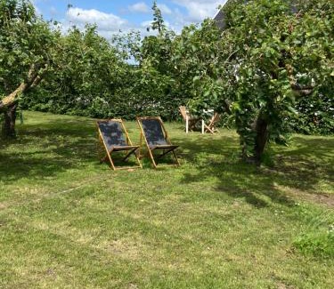 Naestved Bed & Breakfast | Marielyst B&B - Apartments