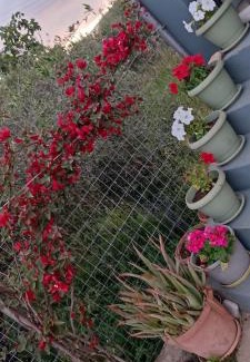 Kastelli House | Marilidia House
