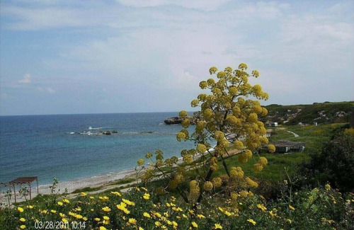 Tatlisu Apartment | Marina Apartment - Tatlisu - Trnc-