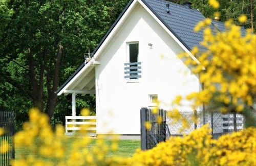 Sasino House | Marina Sasino - Komfortowe Domy z Sauną i Kominkami