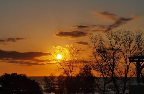 Bravone Apartment | MARINE DE BRAVONE T2 Terrasse Front de mer - Plage pieds dans l'eau - Clim - Piscine - WIFI