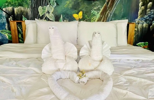 San Antonio Cabin | Mariposa Jungle Lodge