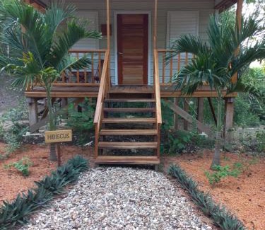San Antonio Apartment | Mariposa Jungle Lodge