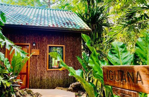 San Antonio Apartment | Mariposa Jungle Lodge
