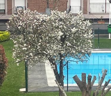 Voto Apartment | Marismas de Cantabria cerca de Laredo