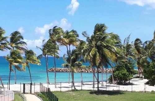 Bas du Fort Apartment | Marisol les pieds dans l eau