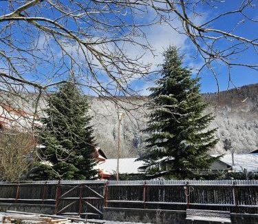 Sinaia Apartment | Marlene House