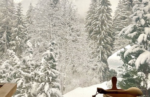 Argentiere Ski Chalet | Marmotte Mountain Retreat - located in beautiful & private national park forest.