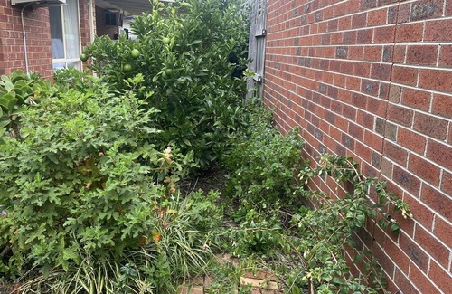 Kilsyth House | Maroondah Pet Friendly 3 Bedroom House - peaceful large garden free parking