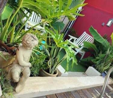 Or Akiva House | MARRAKECH פלא - PELEH - Queit place 3 km from the beach of Cesarea