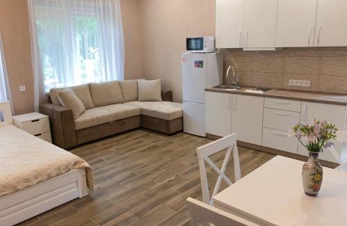 Zarasai Apartment | Marsas
