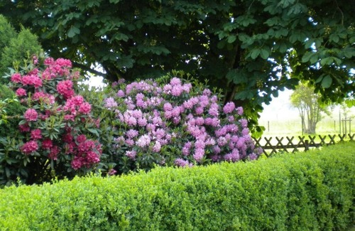 Sehestedt House | Marschblick Modern retreat