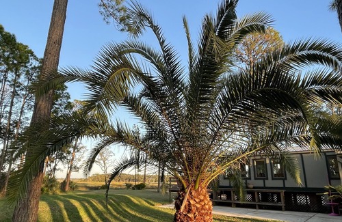 St. Augustine Cabin | Marsh Front Retreat - Intercoastal Waterway access