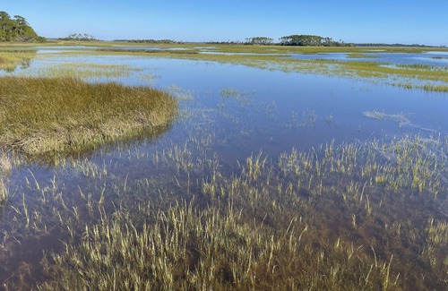 St. Augustine Cabin | Marsh Front Retreat - Intercoastal Waterway access