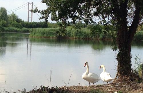 Barton-upon-Humber Cabin | Marshlands Lakeside Nature Retreat