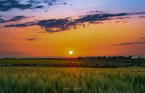 Bockholm House | Marsvin