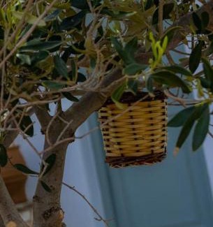 Drios Apartment | Martha's filoxenia