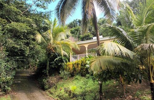 Le Lamentin House | Martinique La petite maison dans la Colline
