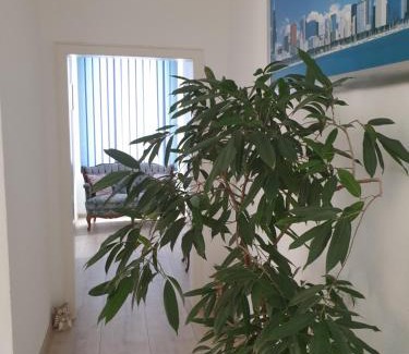 Bad Sobernheim Apartment | Marumparkblick