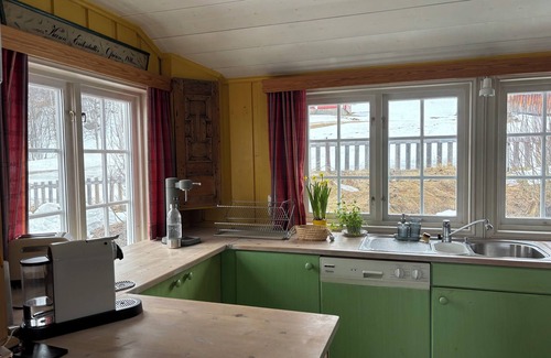 Hol Municipality Cabin | Marvelous 4-bedroom cabin all comfort 10 minutes drive to Norway best ski resort